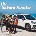 Về “miền cát trắng” Bình Thuận – Ninh Thuận cùng Subaru Forester